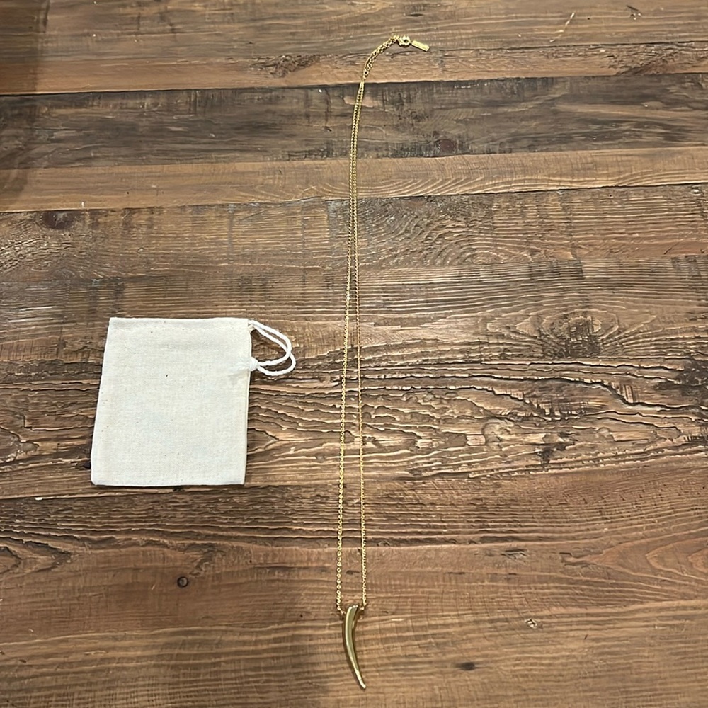 Baublebar Gold Horn Necklace